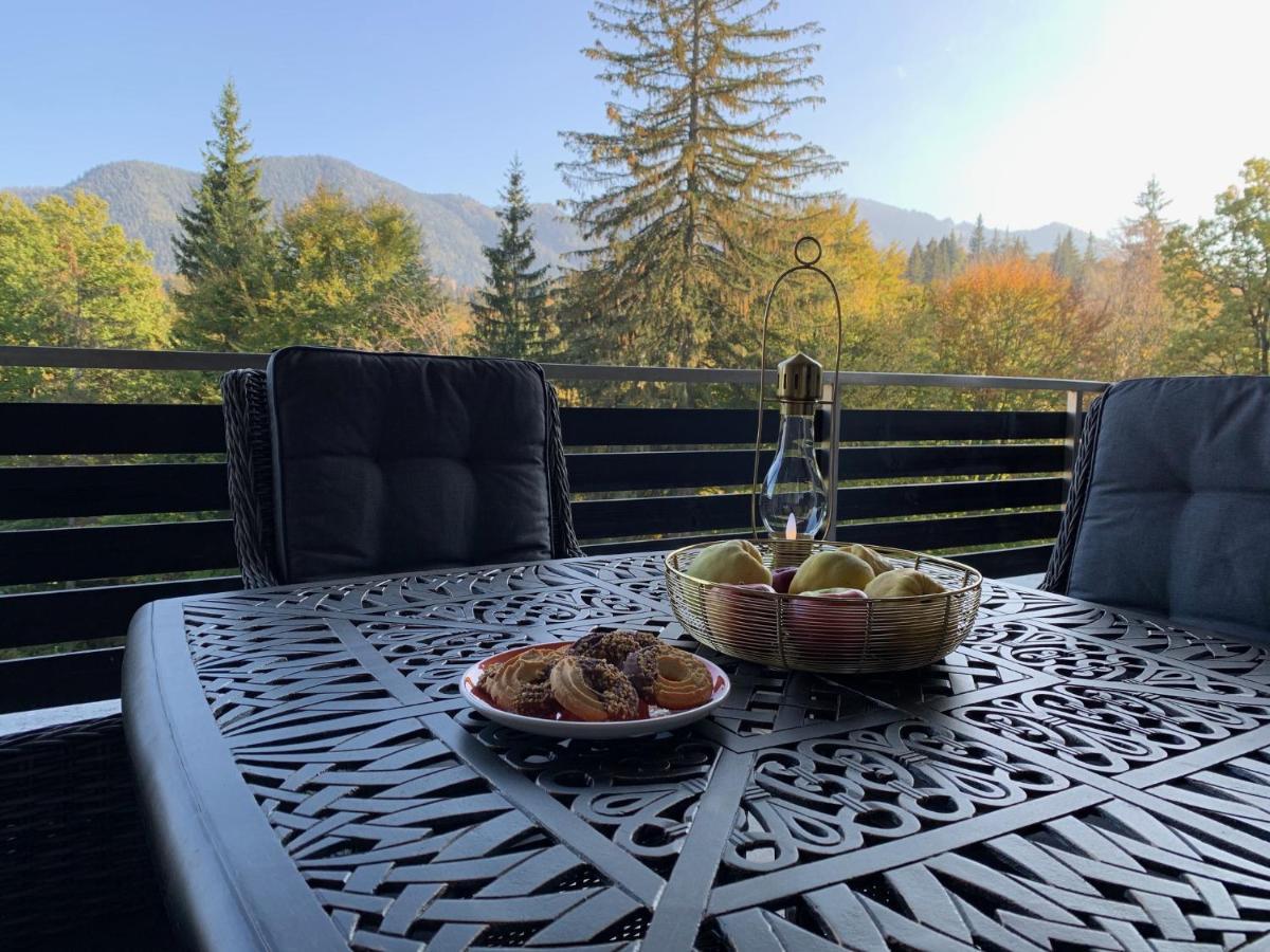 Edelweiss Apartments Silver Resort 포이아나브라소프 외부 사진