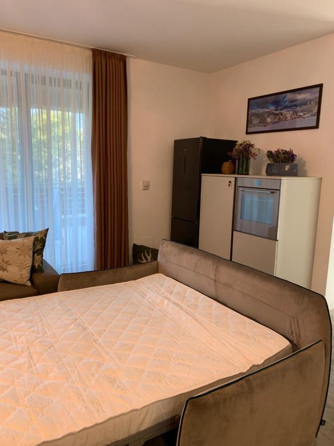 Edelweiss Apartments Silver Resort 포이아나브라소프 외부 사진