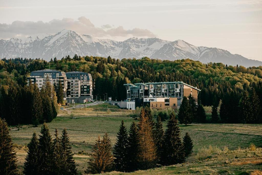 Edelweiss Apartments Silver Resort 포이아나브라소프 외부 사진